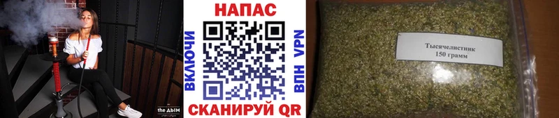магазин продажи   Камызяк  Канабис сатива 